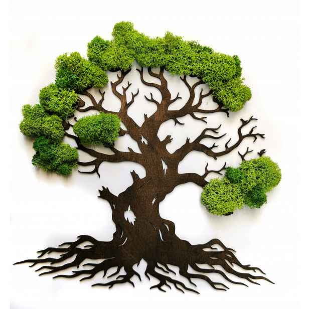 Obraz Dřevo Mech 30/30 cm chrobotek bonsai Dekorace Do Obývacího Pokoje