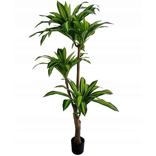 Umělá Dracena V Květináči Vysoká Ozdobná Rostlina Stromek Juka 180 cm