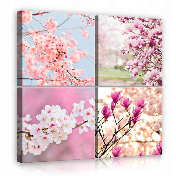 Obraz 50x50 Jaro kvetení květy sakura magnolie růžová bílá