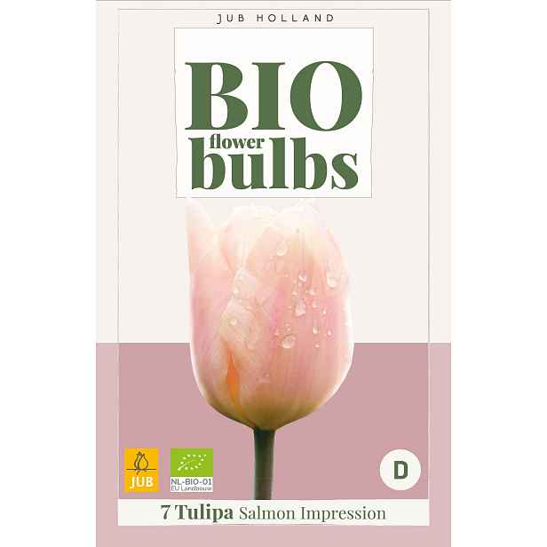 Tulipán Salmon Impression 7 ks