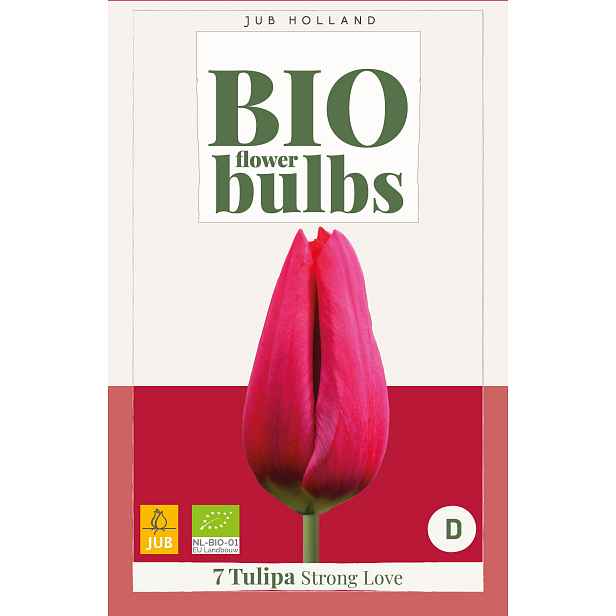 Tulipán Strong Love 7 ks