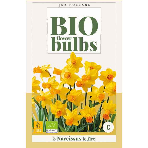 Narcis Jetfire 5 ks
