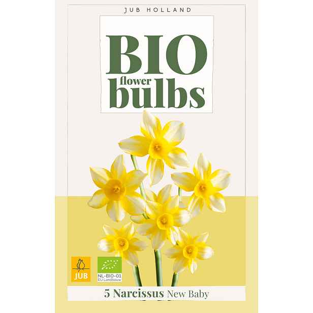 Narcis New Baby 5 ks