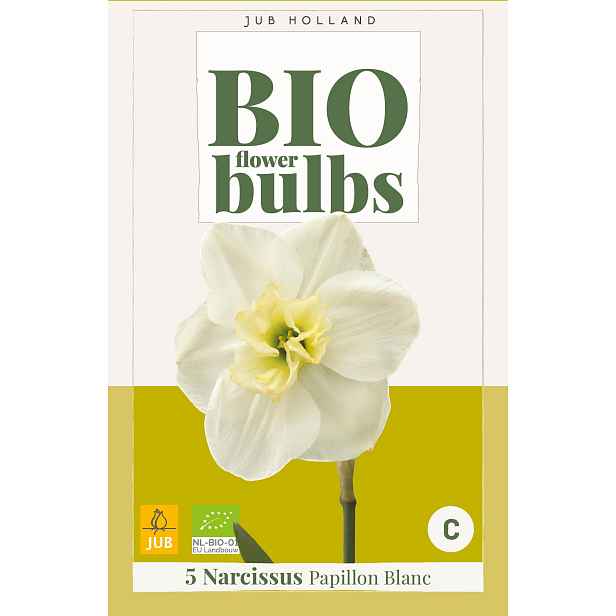 Narcis Papillon Blanc 5 ks