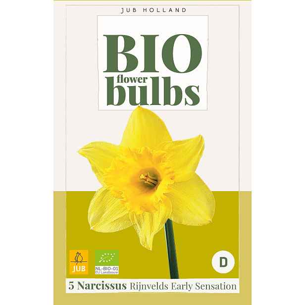 Narcis Rijnveld’s Early Sensation 5 ks