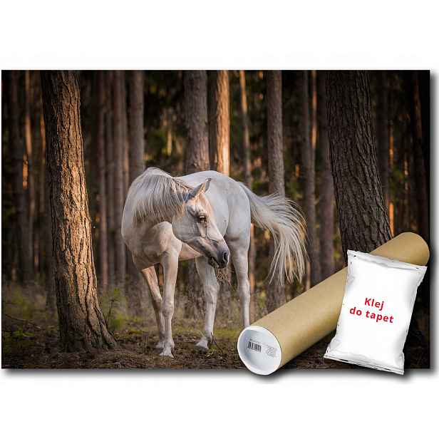 Vliesová fototapeta bílý kůň les stromy 208x146