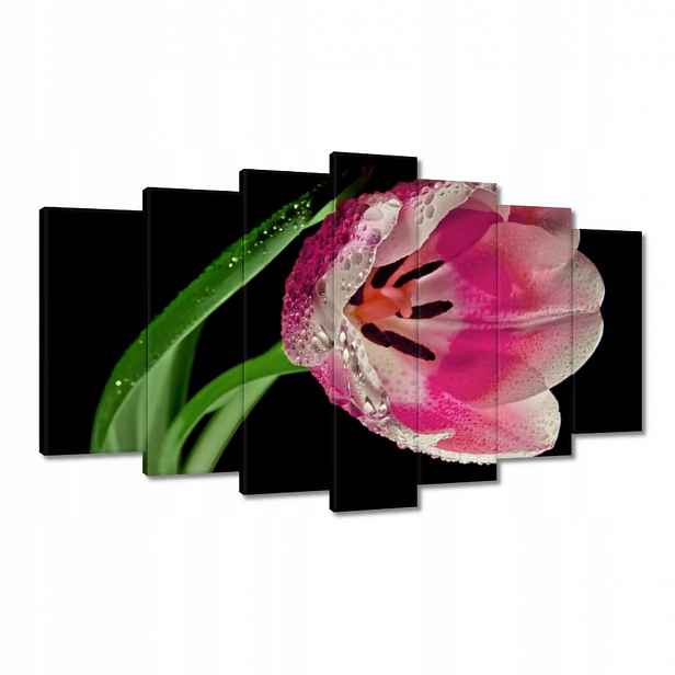 Obrazy 140x80 Růžový tulipán