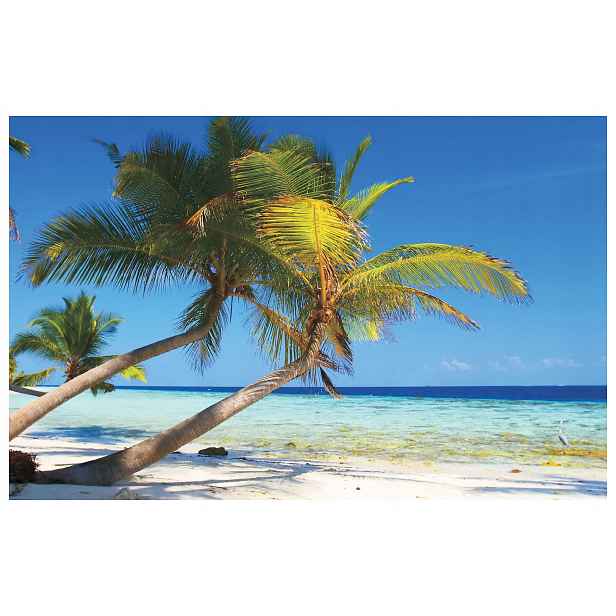 Fototapeta Pláž s palmami modrý oceán bílý písek relax 208x146 lepidlo