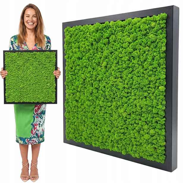 Obraz Z Mechu v dřevěném rámu 50x50 cm mech chrobotek Dekorace z mechu
