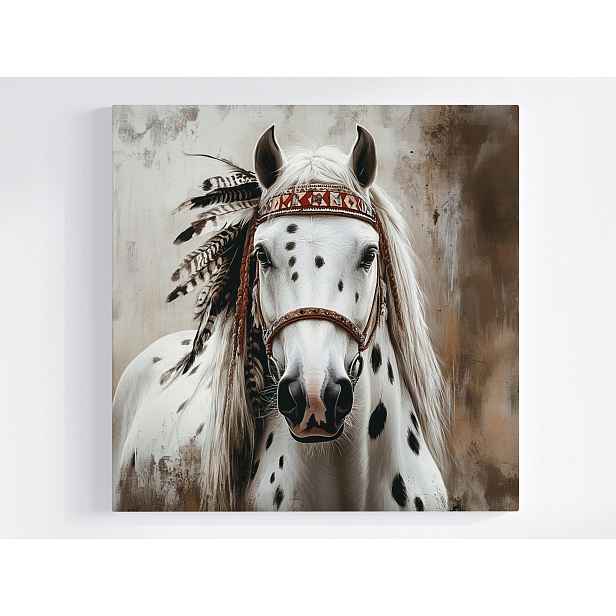 Obraz Na Plátně Plátno Koně Portét Peří Indián Appaloosa Etno 50x50