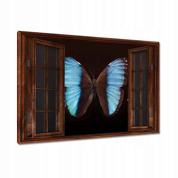 Obrazy 120x80 Modrý motýl
