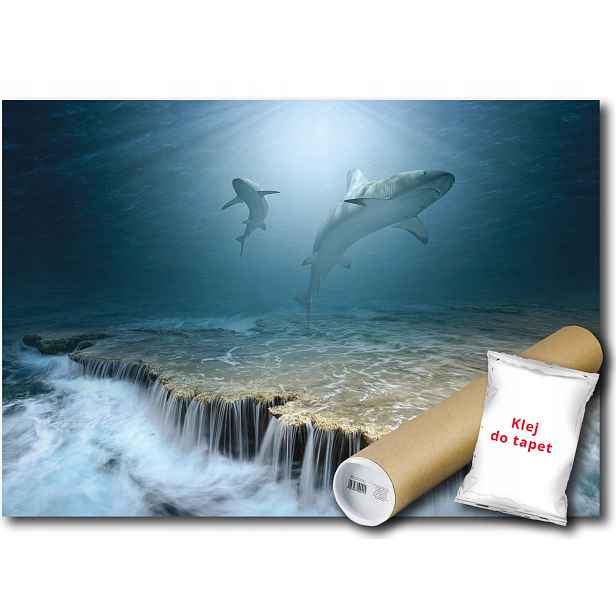Fototapeta Žralok Vodopád 12C Fxl 208x146 F13161