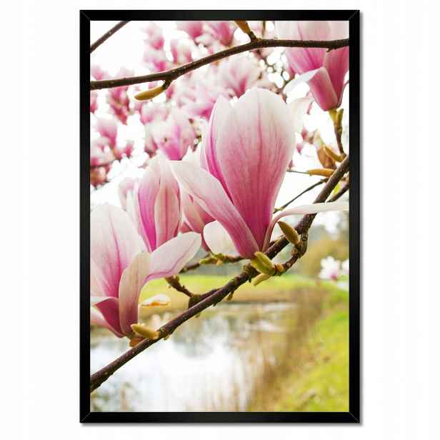 Plakáty v rámu 40x60 Magnolie v Poznani Květ