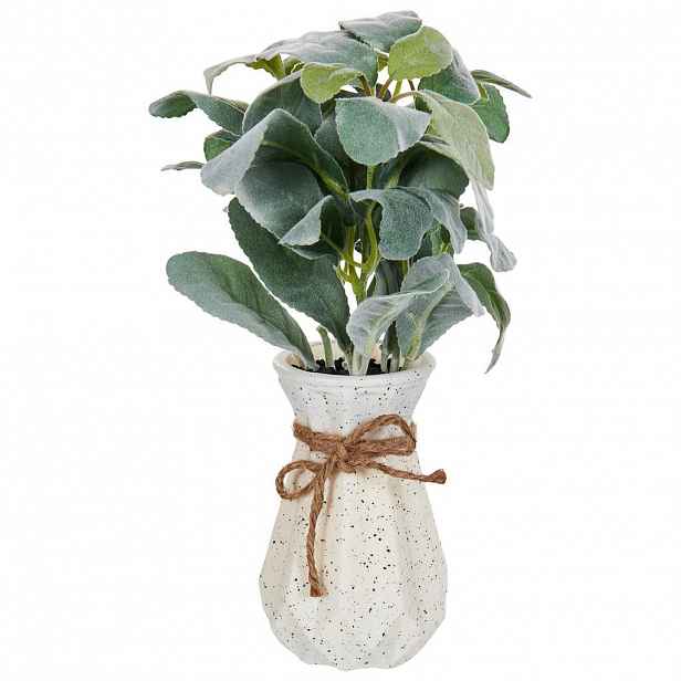 Beliani UMĚLÁ Pokojová rostlina 30 cm Zelená/Černá Peperomia Argyreia