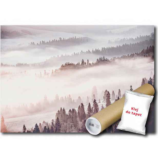 Vinylová fototapeta Les zima hory výhled 152x104