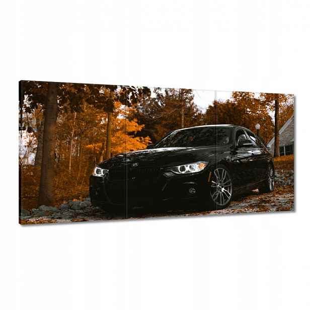 Obrazy 180x90 Černé Bmw Podzim
