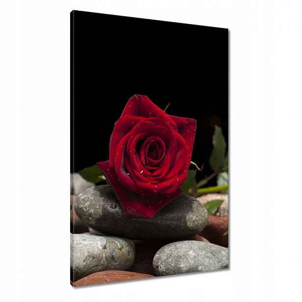 Obrazy 60x90 Spa Wellness Relax Voda