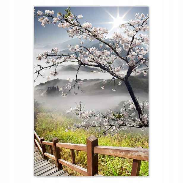 Plakáty 135x200 Japonsko Kvetoucí višeň