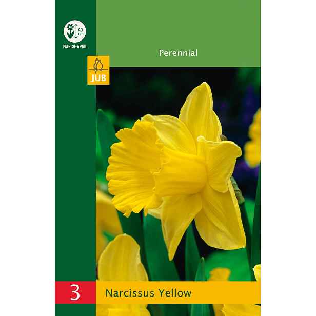 Narcis trumpetový žlutý 3 ks