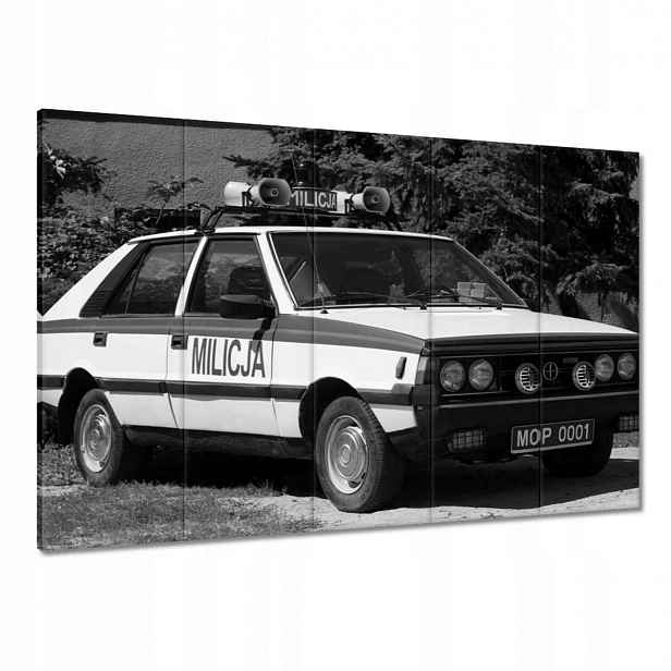 Obrazy 100x70 Miliční Polonez