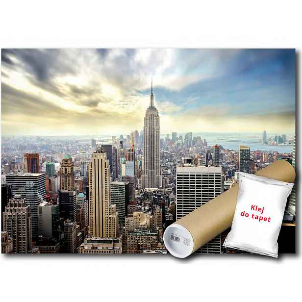Fototapeta Flizelina New York Panorama 416x290
