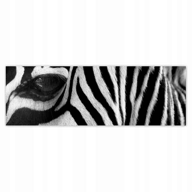 Plakáty 200x66 Černobílé pruhy Zebra