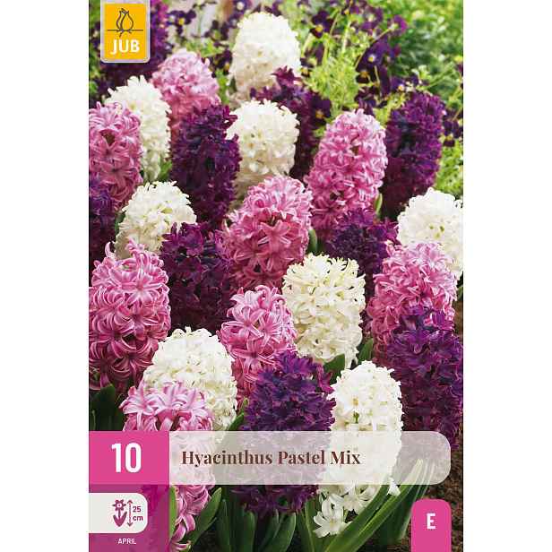 Hyacint Pastel Mix 10 ks
