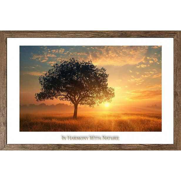 Rámovaný obraz In harmony with nature 70x50 cm, dub tmavý
