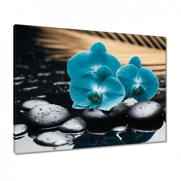 Obrazy 80x60 Tyrkysový orchidej Květina