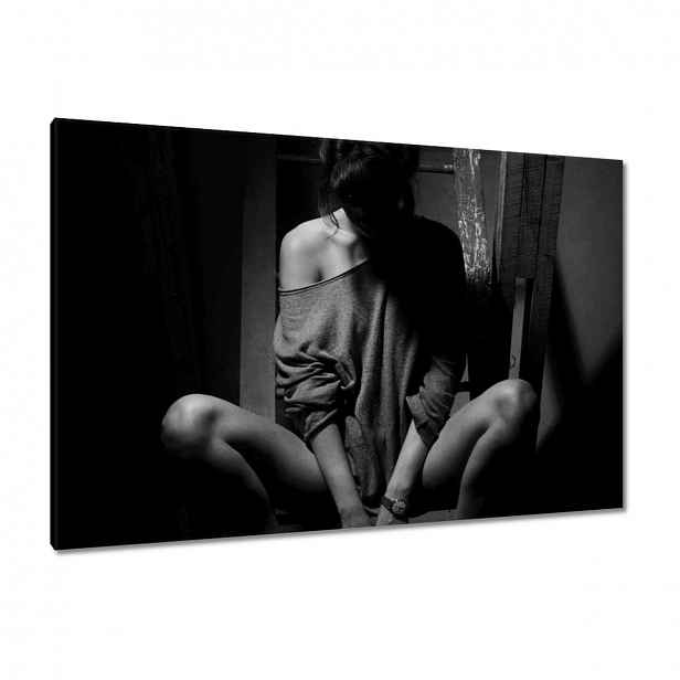 Obrazy 120x80 Černobílé fotky kočky