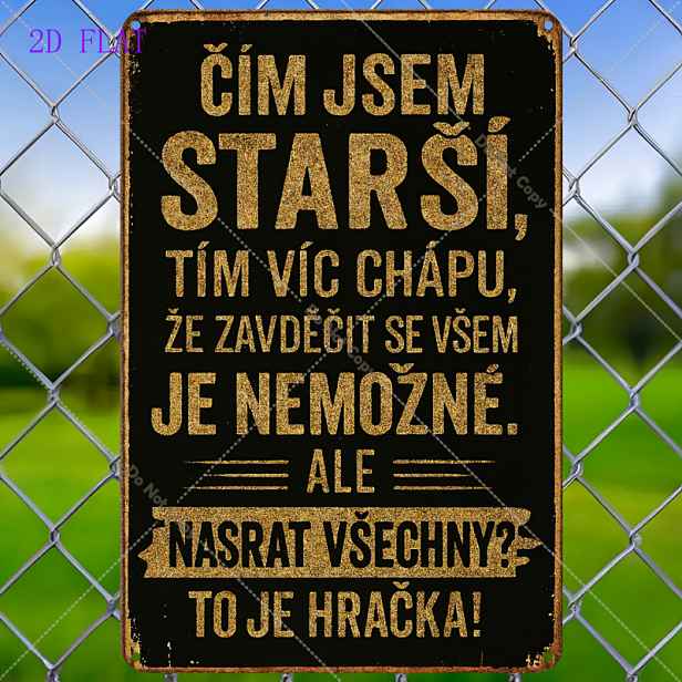 TEMU 2D plochá dekorativní cedule s českým sloganem. Tato retro cedule o rozměrech 20 x 30 cm je ideální pro dodání vintage vzhledu vašemu domovu,