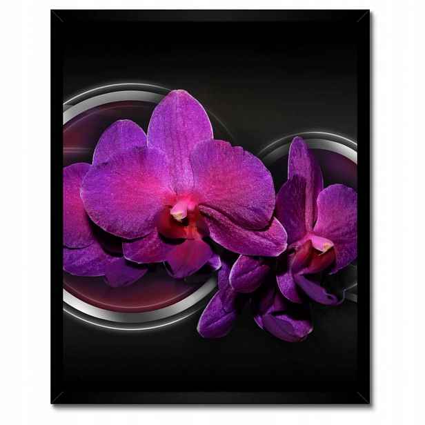 Plakáty v rámu 40x50 Fialová orchidej