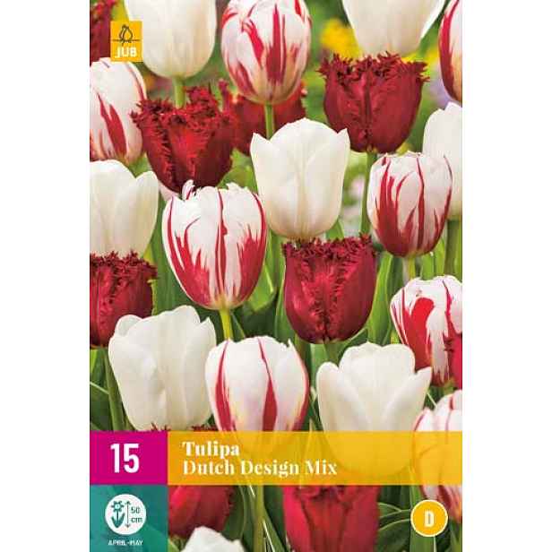 Tulipán Dutch Design Mix 15 ks