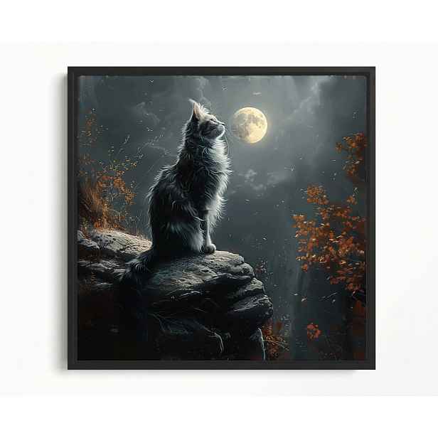 Obraz Rám Americký Box Noc Temnota Nebe Měsíc Šedý Kocour 60x60