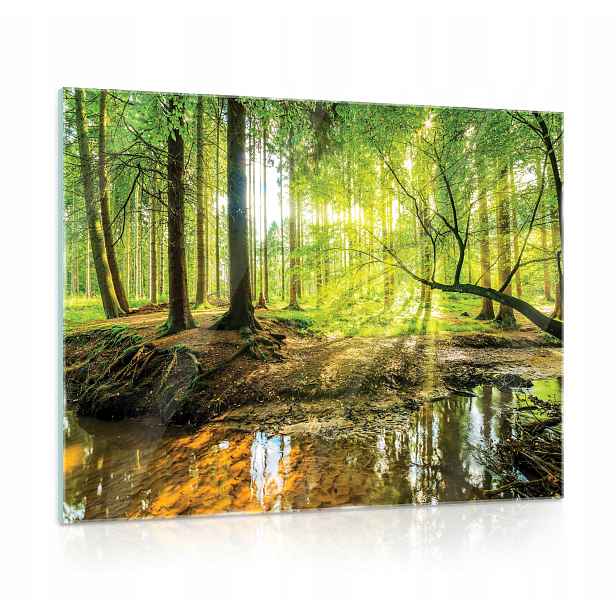 Skleněný obraz na skle Les Krajina Obývací pokoj 80x60