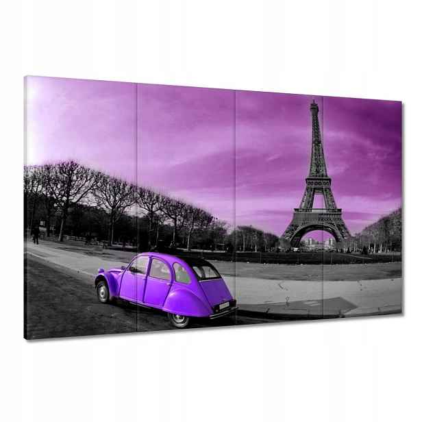 Obrazy 120x80 Fialová Citroen