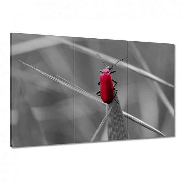 Obrazy 120x80 v Szczebrzeszyně