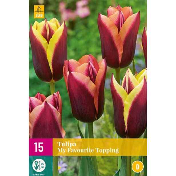 Tulipán My Favourite Topping 15 ks