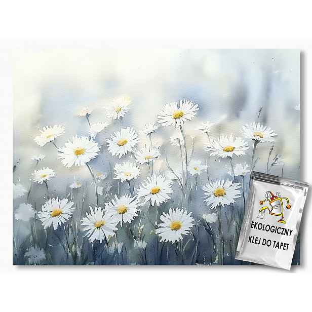Fototapeta Flizelina Sedmikrásky Bílé Květy Louka Jaro 208x146 130g