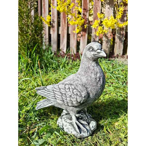 Betonová figurka Holub zahradní figurky betonový pták