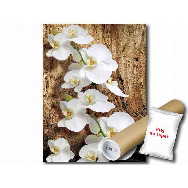 Fototapeta Orchideje Květiny 9D Panxl 206x275 F1017