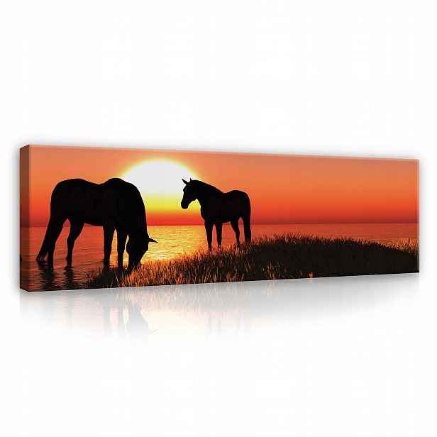Obraz do obývacího pokoje koně moderní Hrubý Rám 145x45