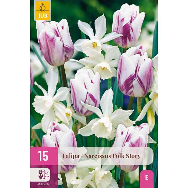 Tulipán / Narcis Folk Story 15 ks