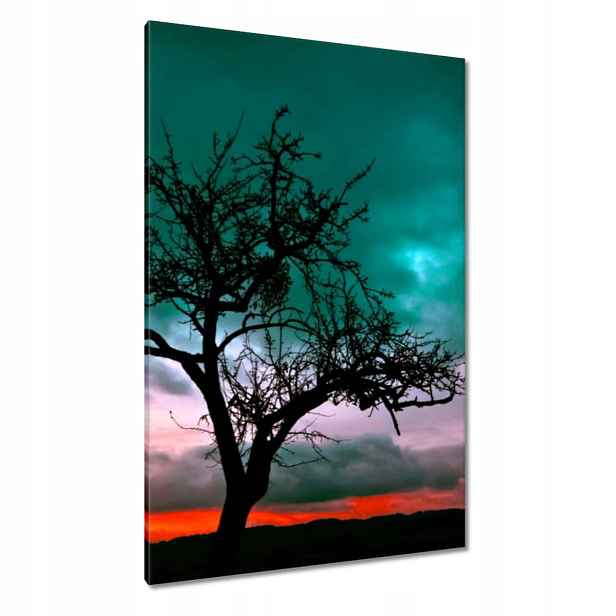 Obrazy 80x120 Západ slunce na poušti