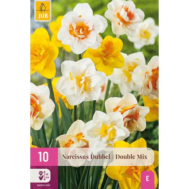 Narcis Double Mix 10 ks
