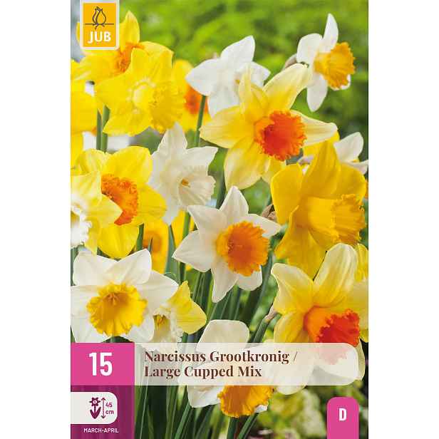 Narcis Large Cupped Mix 15 ks