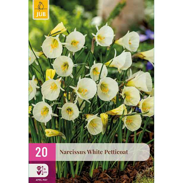 Narcis White Petticoat 20 ks