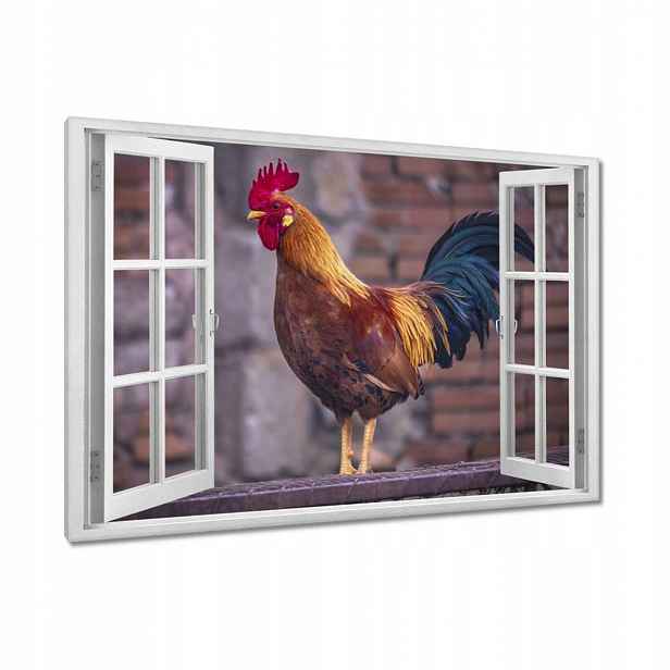 Obrazy 90x60 Kohout Skutečný bojovník