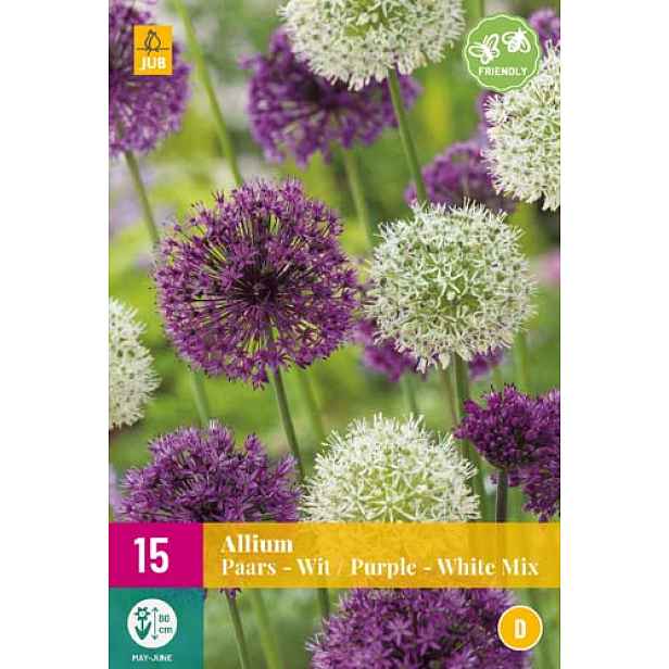 Okrasný česnek Purple-White Mix 15 ks