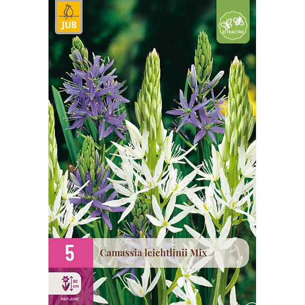 Kamásie Leichtlinii Mix 5 ks